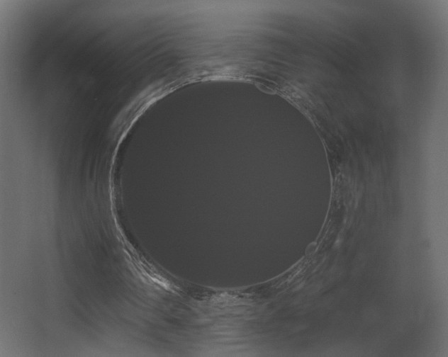 X0000068290290200604211144