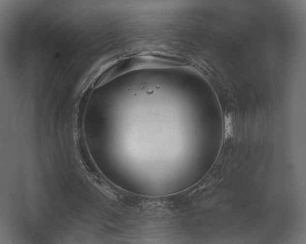X0000068290291200604211144