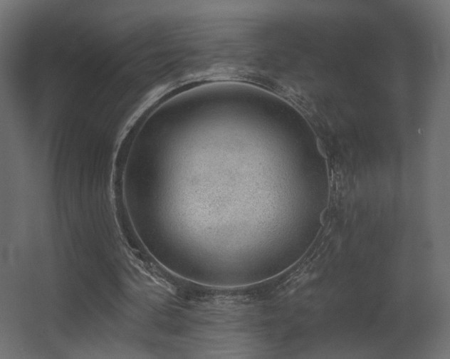 X0000068290292200604211144