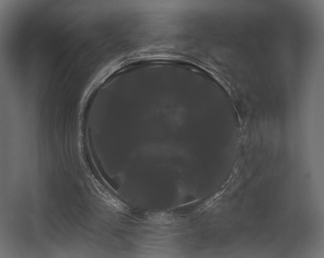 X0000068290293200604211144