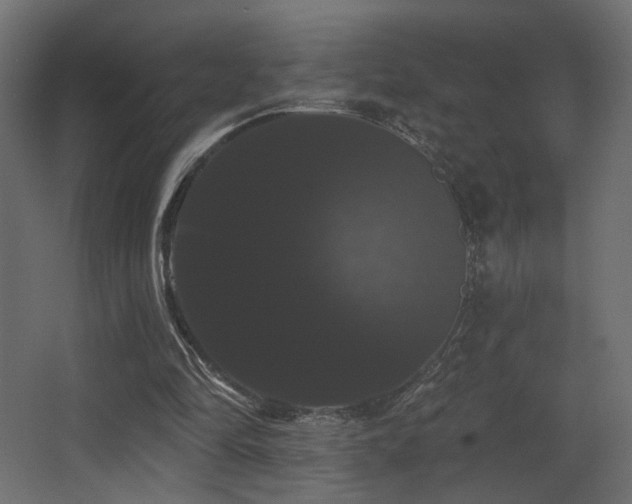 X0000068290294200604211144