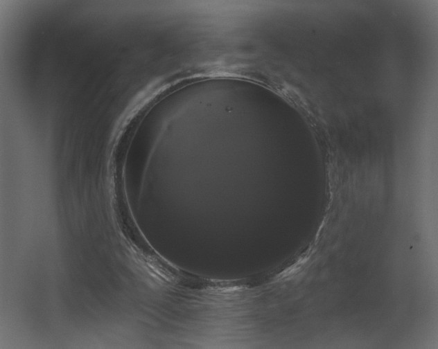 X0000068290295200604211144