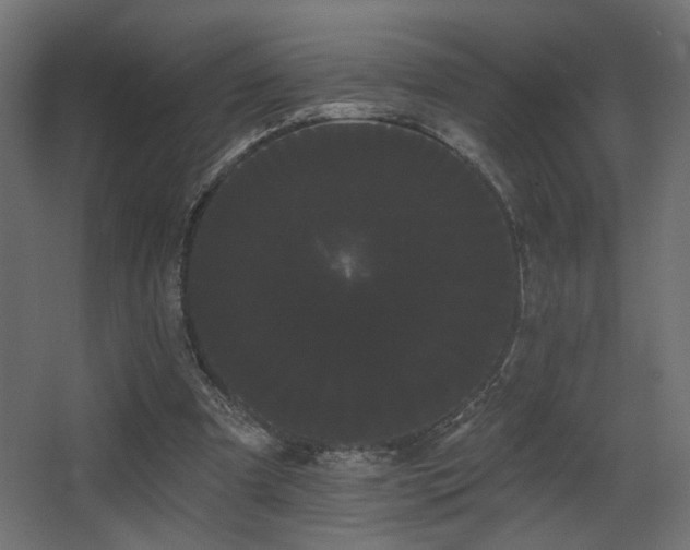 X0000068290297200604211144