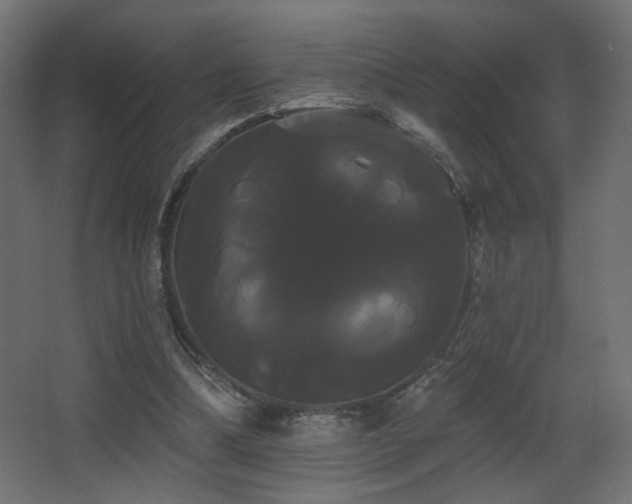 X0000068290298200604211144