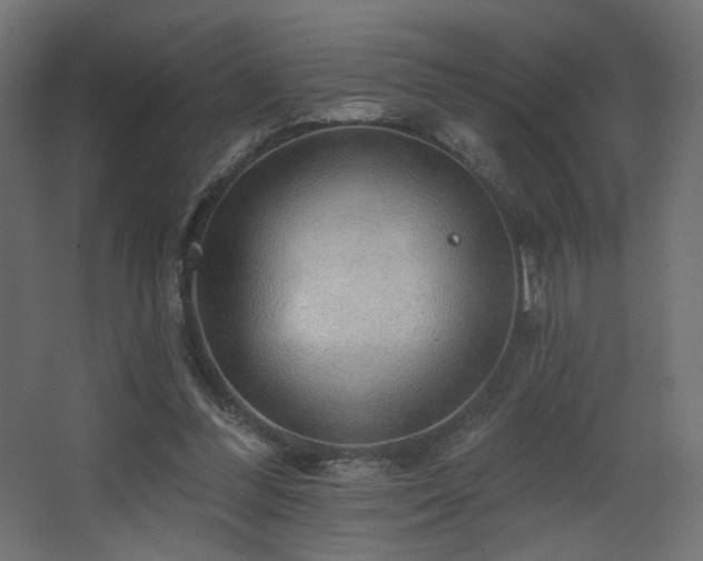 X0000068290300200604211144