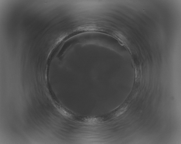 X0000068290301200604211144