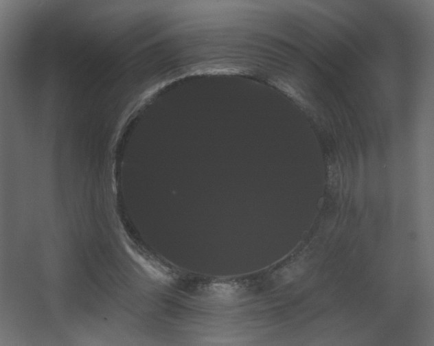 X0000068290302200604211144