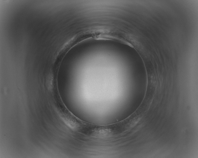 X0000068290304200604211144