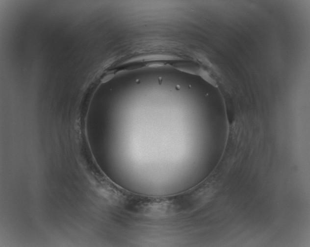 X0000068290306200604211144