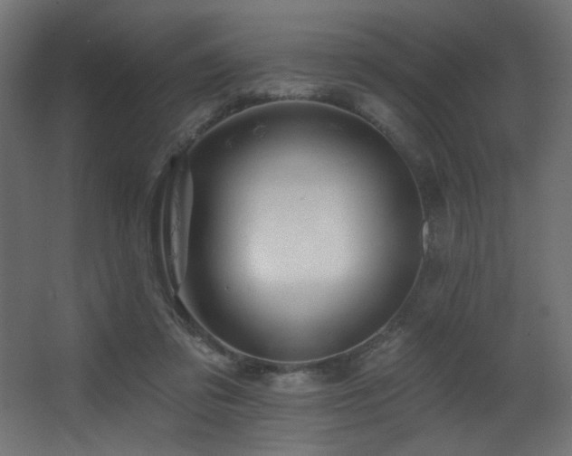 X0000068290309200604211144