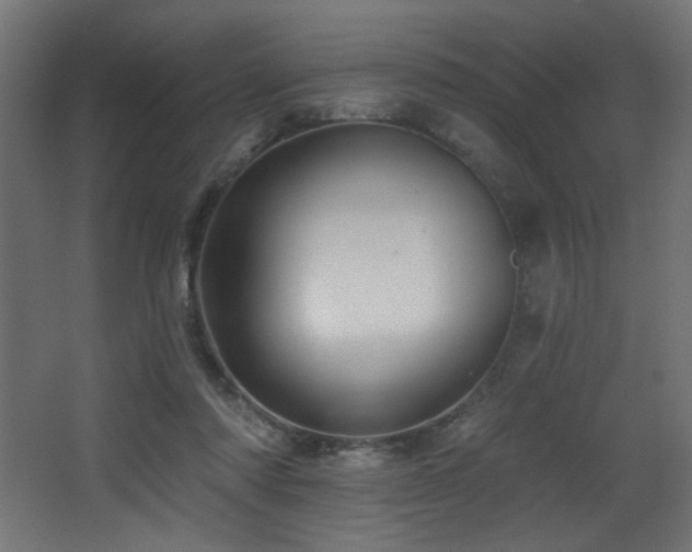 X0000068290310200604211144
