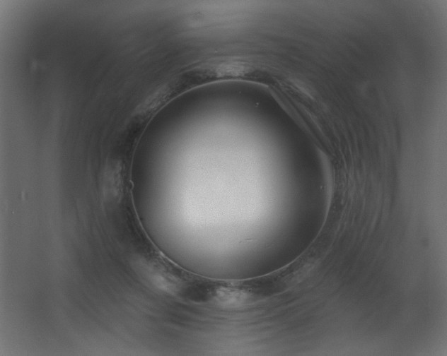 X0000068290311200604211144
