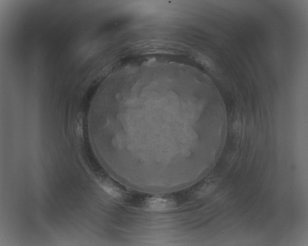 X0000068290315200604211144
