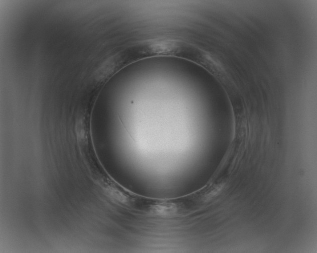 X0000068290317200604211144