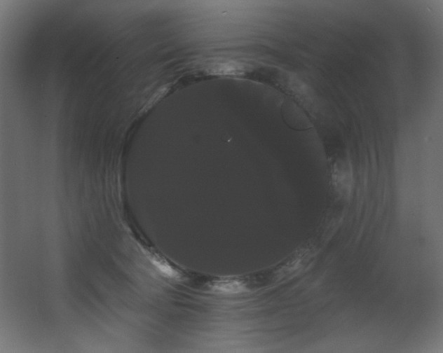 X0000068290322200604211144