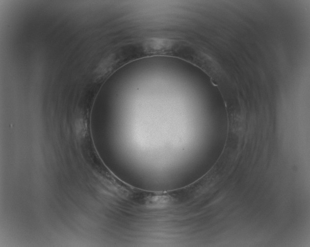 X0000068290324200604211143