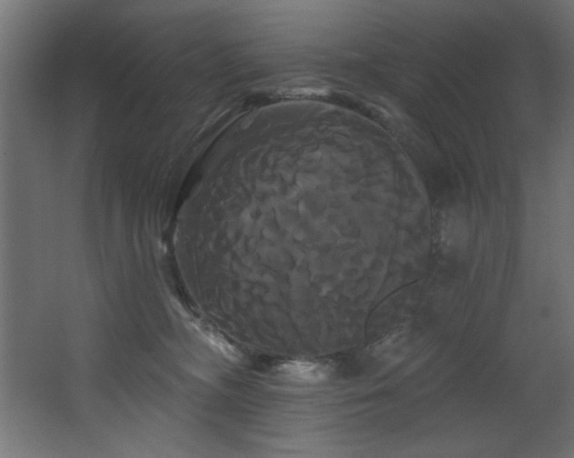 X0000068290326200604211143