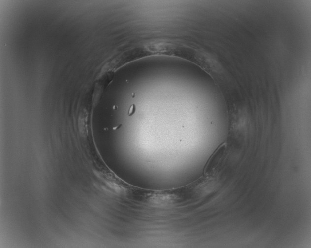 X0000068290332200604211143
