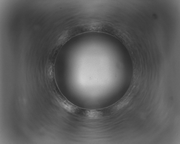 X0000068290336200604211143