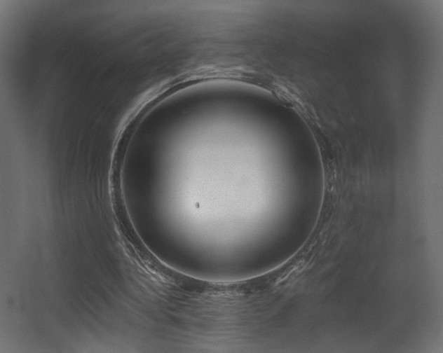 X0000068290340200604211143
