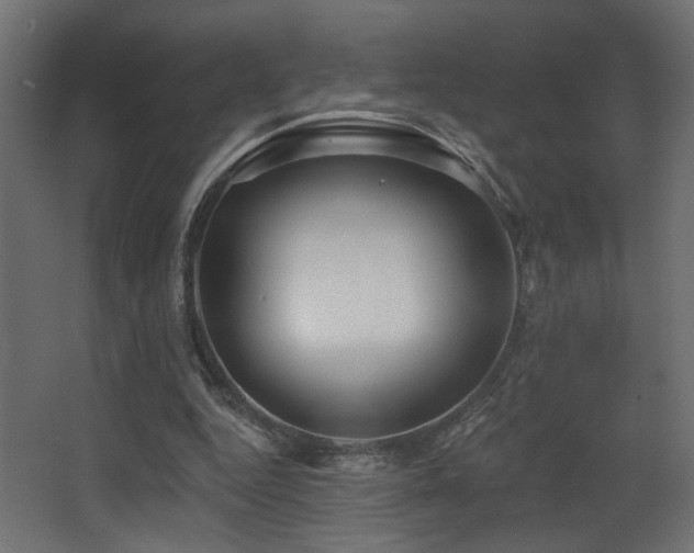 X0000068290344200604211143