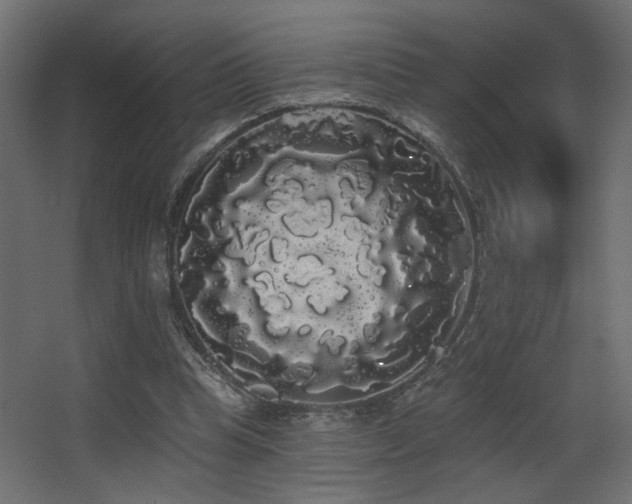 X0000068290345200604211143