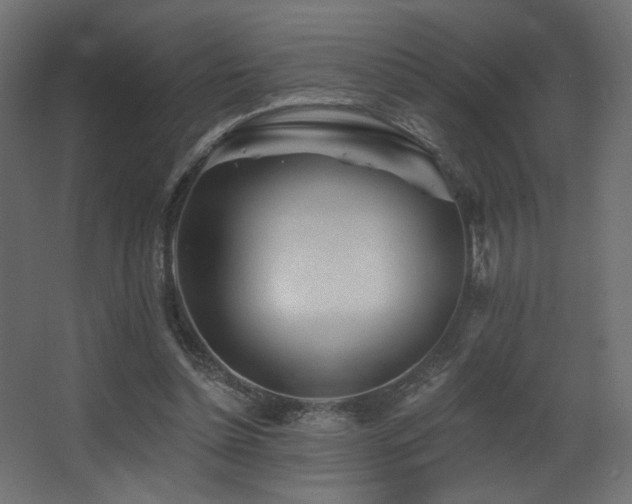 X0000068290348200604211143