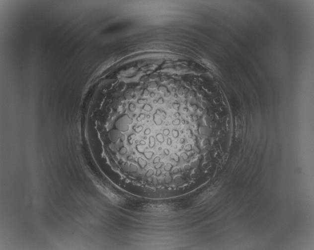 X0000068290349200604211143