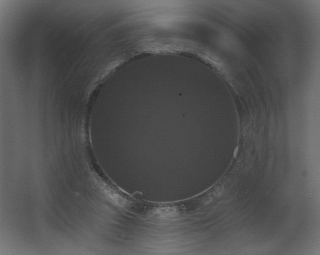 X0000068290353200604211143