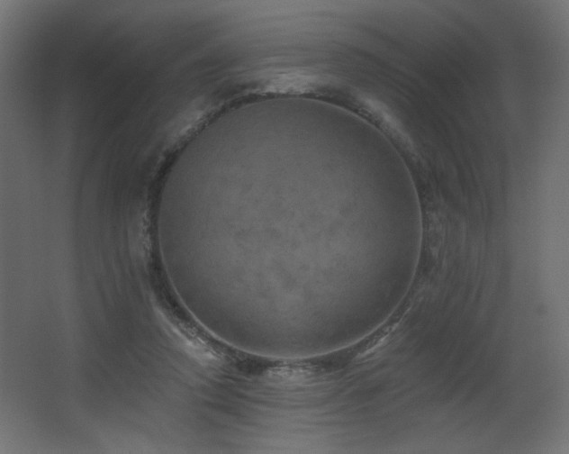 X0000068290354200604211143