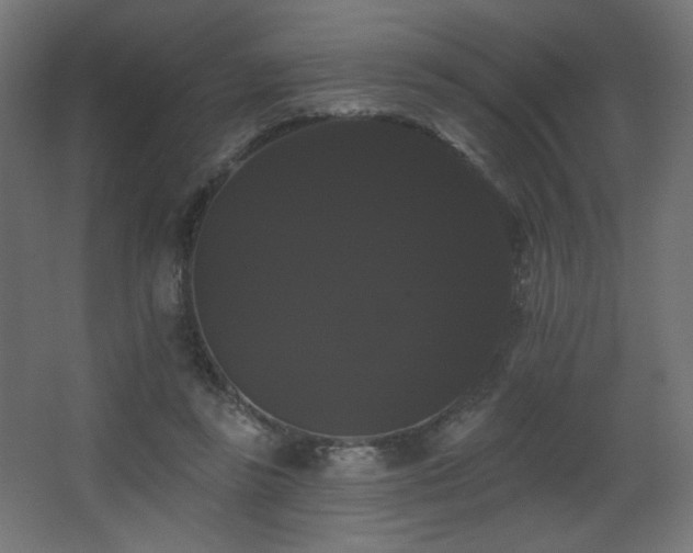 X0000068290355200604211143