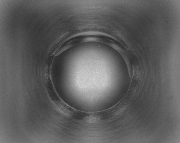 X0000068290356200604211143
