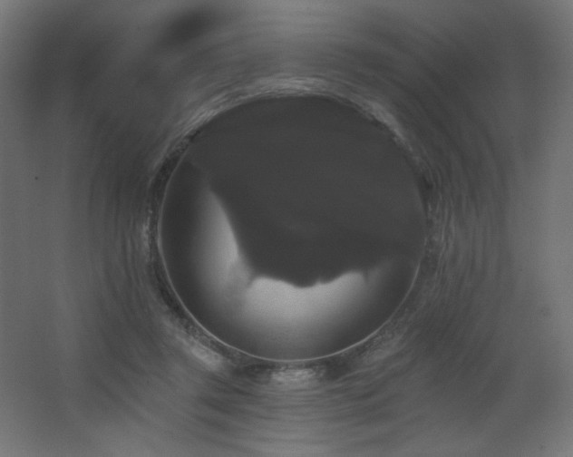 X0000068290357200604211143