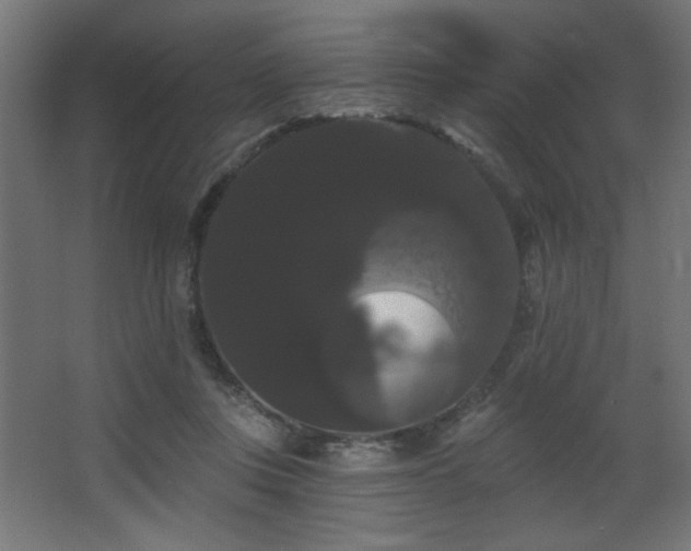 X0000068290359200604211143