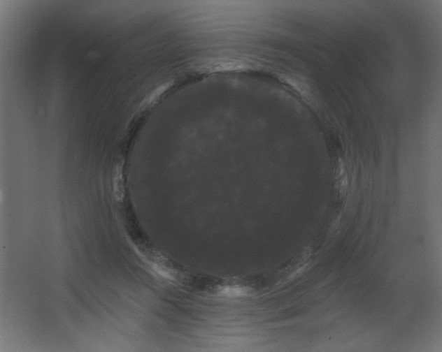 X0000068290360200604211143
