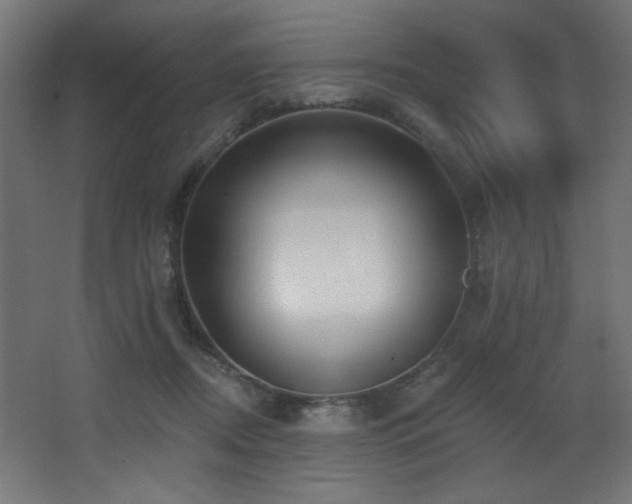 X0000068290362200604211143