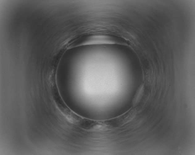 X0000068290364200604211143