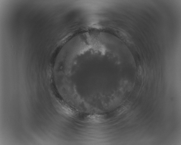 X0000068290367200604211143