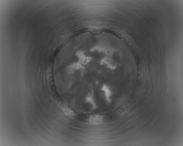X0000068290369200604211143