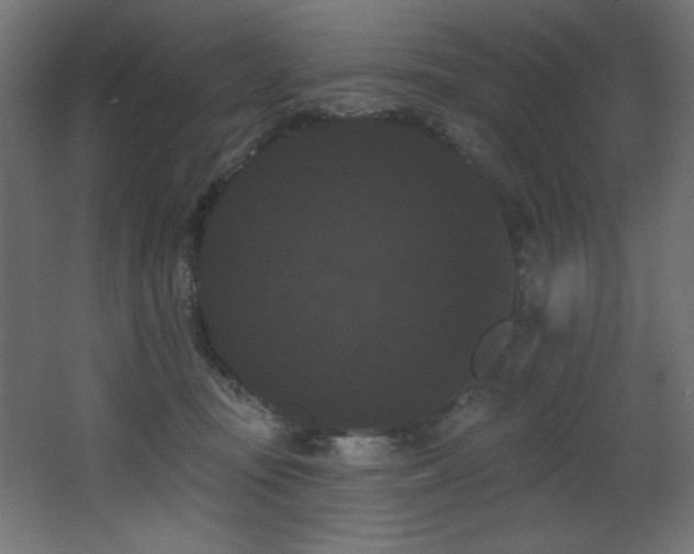 X0000068290371200604211143
