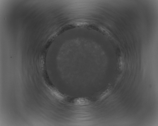 X0000068290372200604211143