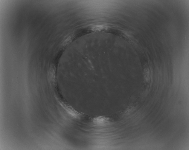 X0000068290375200604211143
