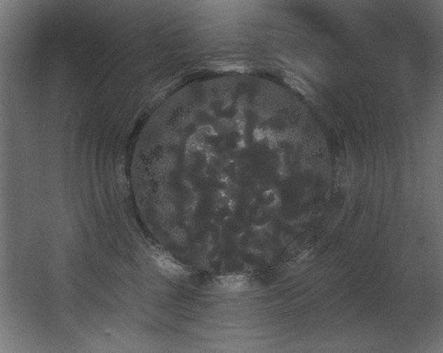 X0000068290377200604211143