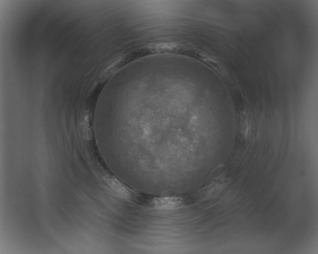 X0000068290378200604211143