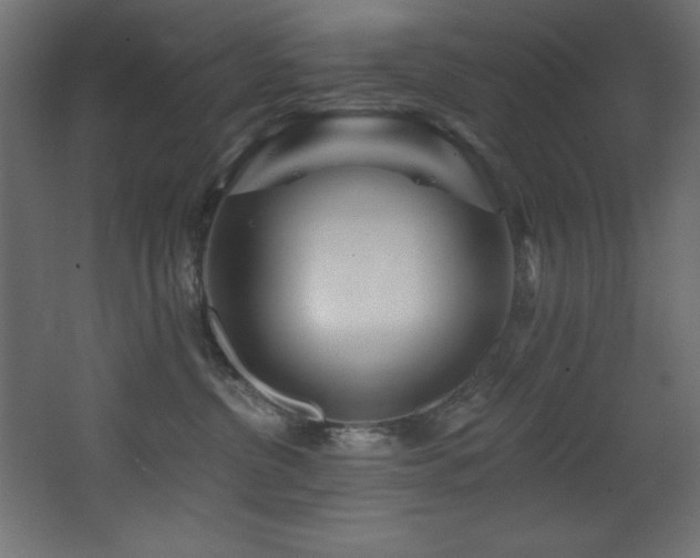 X0000068290380200604211143