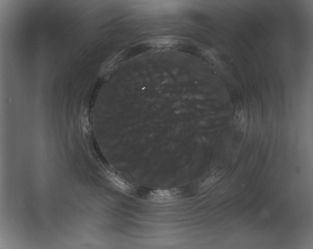 X0000068290381200604211143