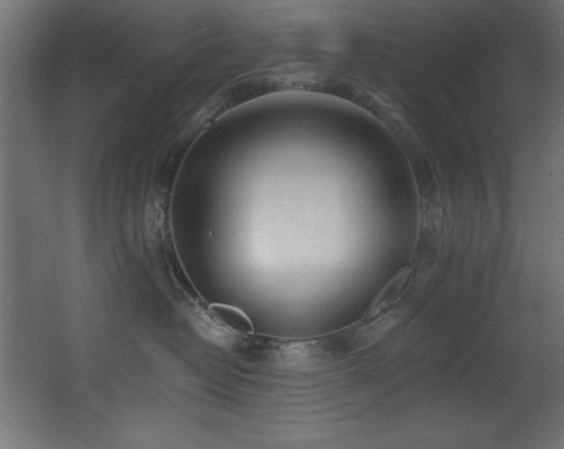 X0000068290382200604211143
