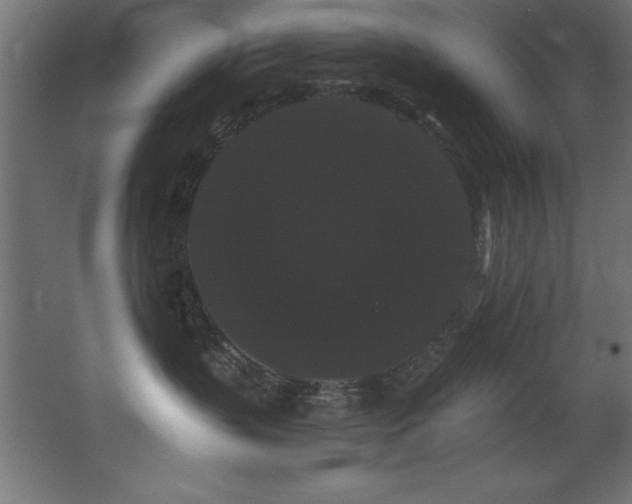 X0000068290383200604211143
