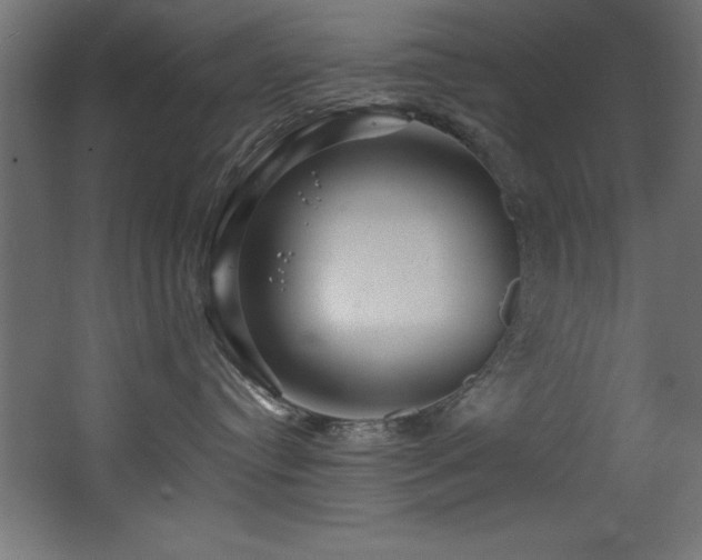 X0000068290384200604211143