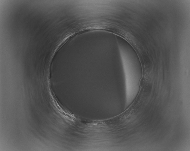 X0000068290386200604211142